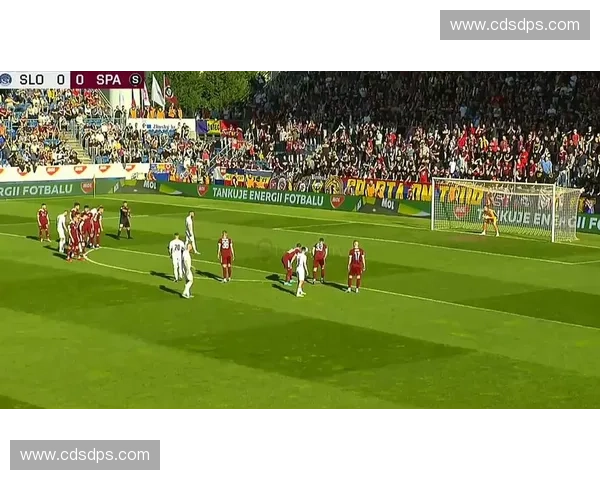 捷克杯足球赛精彩回顾与分析：历年冠军队伍与赛季亮点全解析