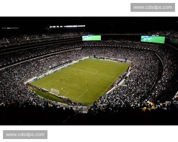 回望二零一四巴西世界杯激情之夏与足球传奇诞生荣耀时刻全球球迷